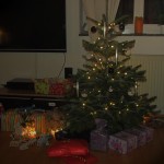 unser Weihnachtsbaum