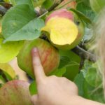 Oma, den musst du fotografieren